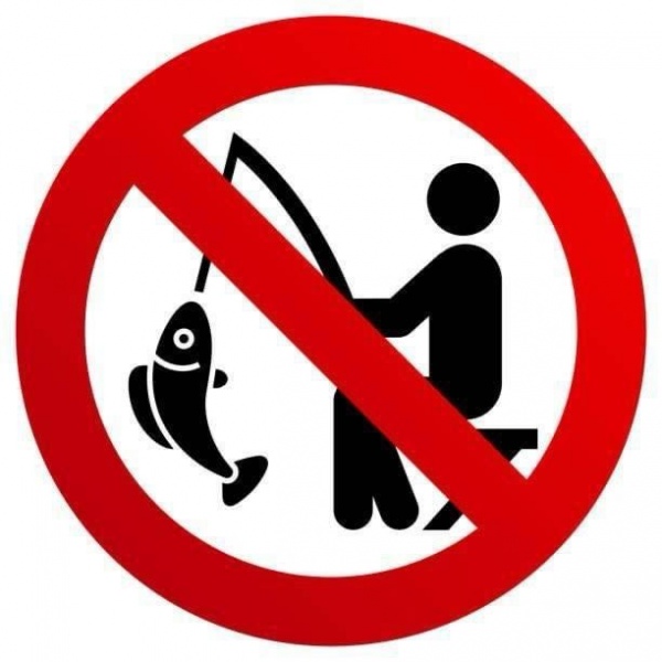 Interzis la pescuit până în 7 iunie