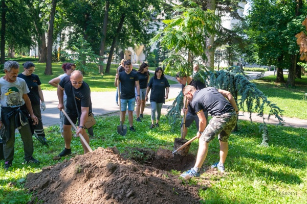 Plantări de puieți de copaci în Parcul Dendrologic