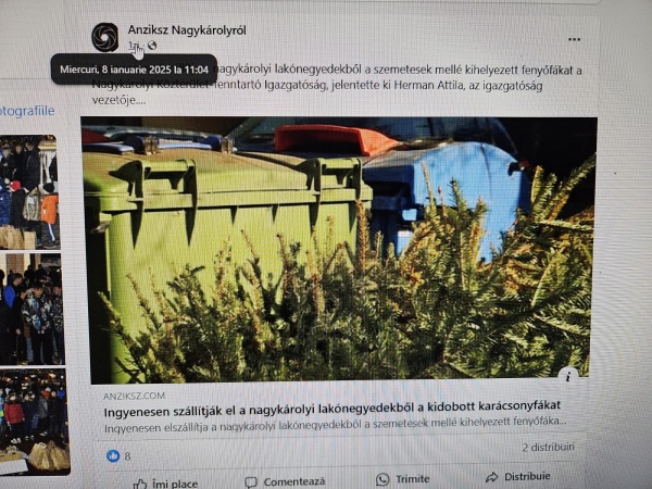 Brazii se colectează la Carei doar pentru vorbitorii de limbă maghiară?