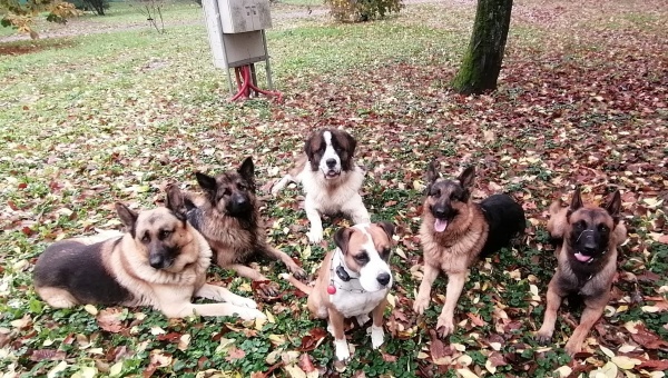 Un careian solicită ca parcul să devină un loc sigur pentru toți vizitatorii, în special pentru copii