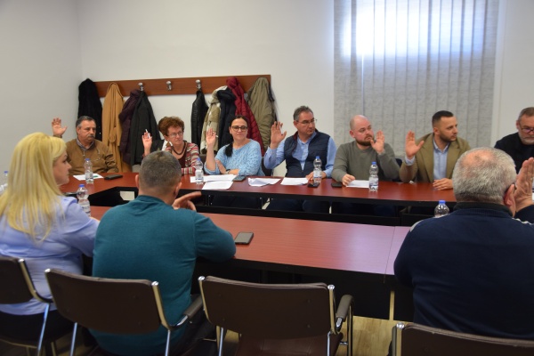 Ședință de CL la Carei. Consilierii intervin doar când au interes personal sau de grup