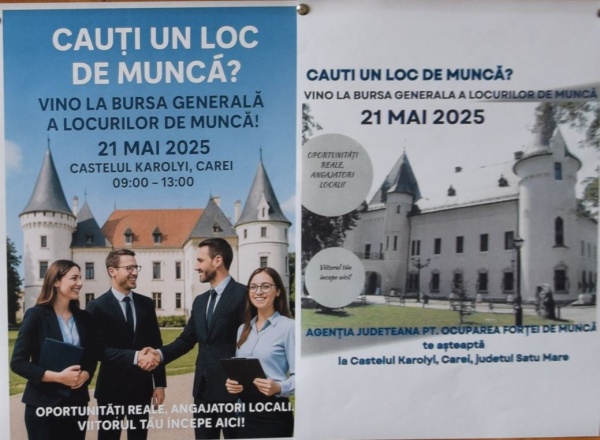 Bursa Locurilor de Muncă de la Carei