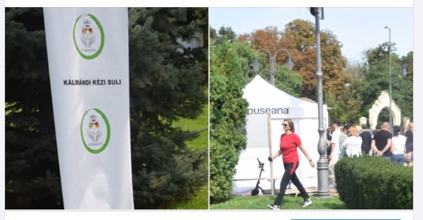 Inspectorul școlar Florentina Timoc confirmă: echipa de handbal cu înscrisuri exclusiv în limba maghiară era din România  nu din Ungaria