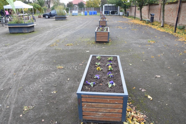 Panseluțele salvează un proiect de sute de mii de euro la Carei