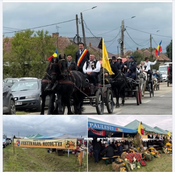 Festivalul Recoltei la Păulești, ediția a VI-a. Tricolorul la loc de cinste