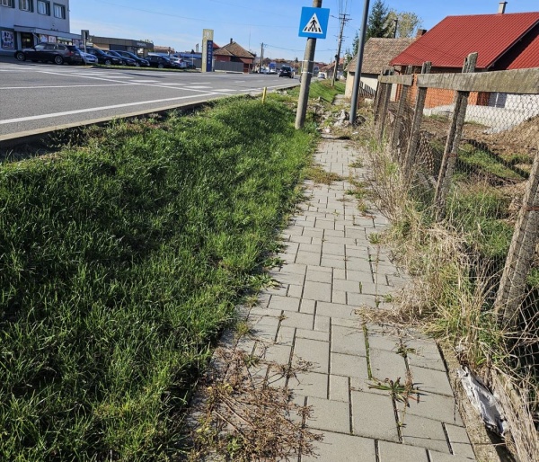 Trotuar blocat pe calea Mihai Viteazu din Carei! Poliția Locală nu intervine