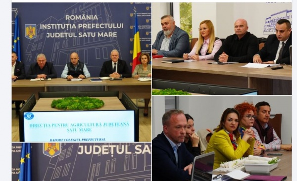 Producția agricolă în cifre în județul Satu Mare