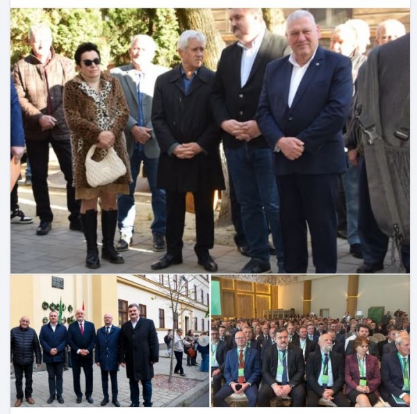 Vestimentația președintelui CJ Satu Mare la manifestări românești vs.manifestări ale UDMR