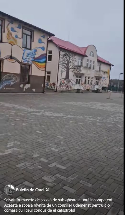 Salvați Școala Gimnazială nr.1 Carei!