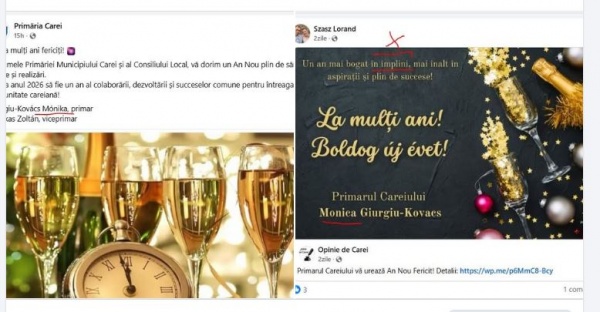 Dezacord. Numele primarului din Carei scris diferit de primărie și consilierul său personal