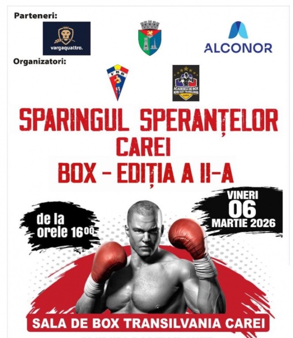 Regal de box la Carei