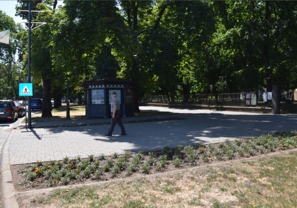 Licitații cu dedicație la Carei