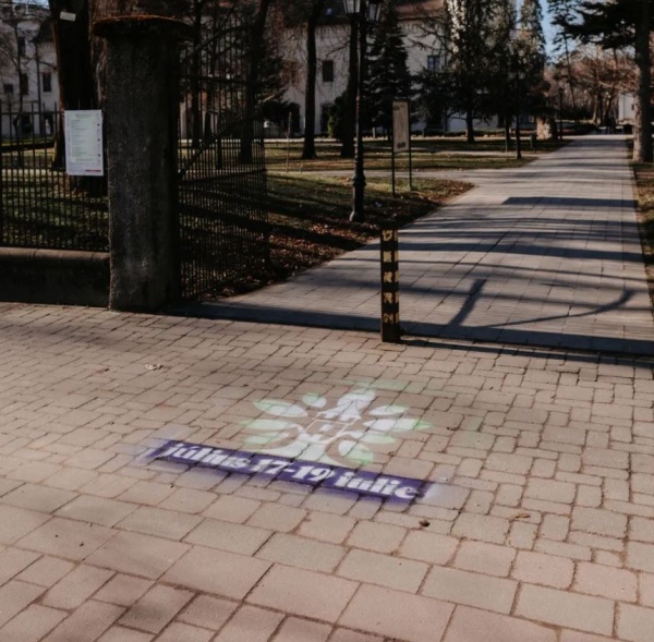 Liber la inscripționat trotuare la Carei. Poliția tace, tace Primăria, consilierii locali…