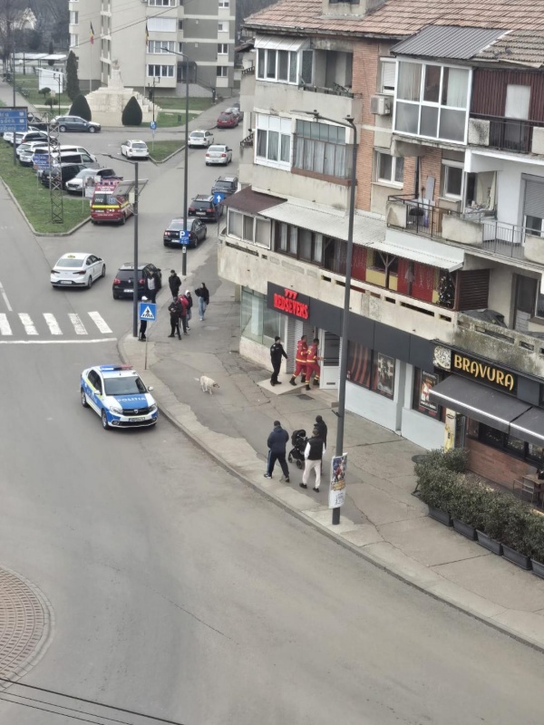 Primăria Carei nu vrea să renunțe la jocurile de noroc din oraș. Dezbatere Publică pentru locuri speciale