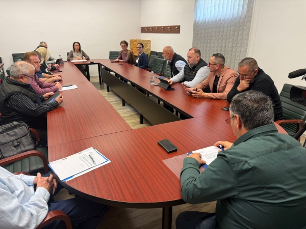 Consilierii careieni au amuțit la ședința CL când au văzut ce reduceri de posturi trebuie să voteze. VIDEO