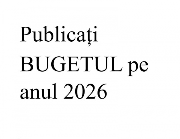 Proiect de buget pe anul 2026 ținut la secret de Primăria Carei. Ședință publică de CL cu toate proiectele inițiate doar de primar