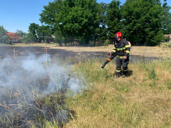 Incendiu de vegetație uscată în Moftinu Mic