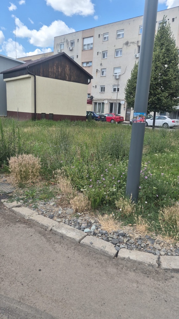 Se vinde teren în cartierul Mihai Viteazul 2 din Carei