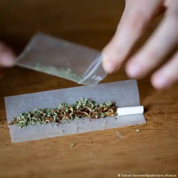 Plicuri cu substanțe interzise depistate de jandarmii din Carei