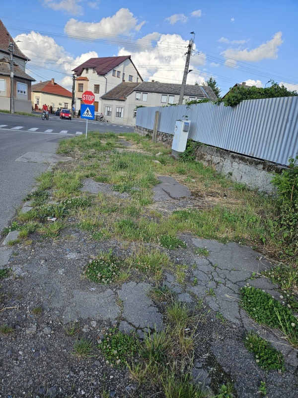 Incompetență sau rea-voință? Trotuare marca Primăria Carei