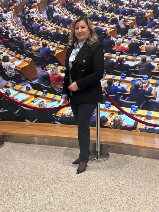 La CJ Satu Mare trebuie să te adresezi instanței ca să obții acces la informații de interes public