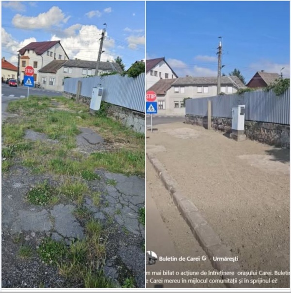Se poate! Buletin de Carei contribuie la întreținerea orașului. VIDEO