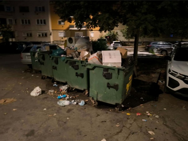 Careieni disperați! Serviciul de salubrizare funcționează deficitar