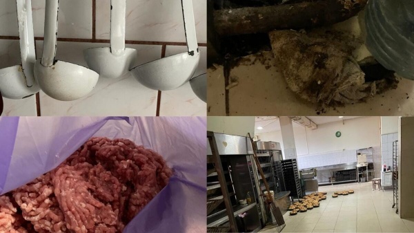 Protecția consumatorului a verificat 146 agenți economici din județul Satu Mare